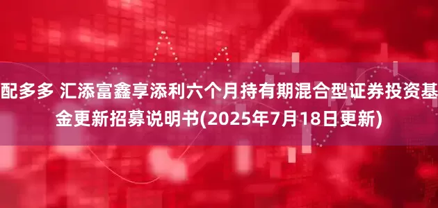 配多多 汇添富鑫享添利六个月持有期混合型证券投资基金更新招募说明书(2025年7月18日更新)