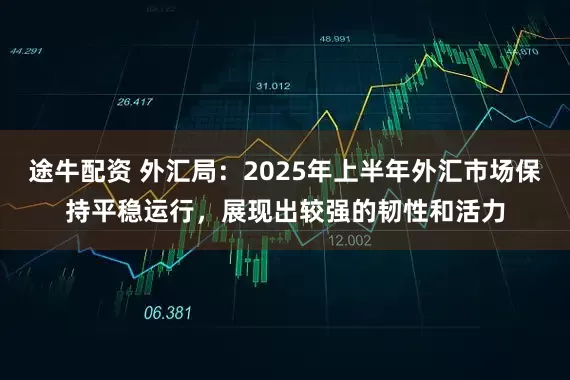 途牛配资 外汇局：2025年上半年外汇市场保持平稳运行，展现出较强的韧性和活力