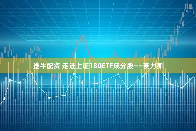 途牛配资 走进上证180ETF成分股——赛力斯